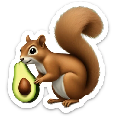 Squirrel avocado sticker