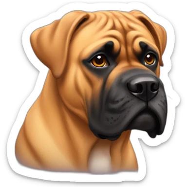 bullmastiff with heart sticker