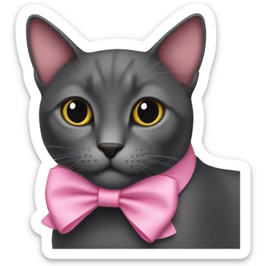 Dark grey cat wearing pink bow sticker
