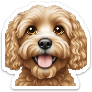 Cavapoo  sticker