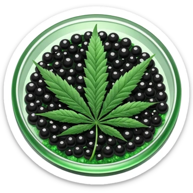 frozen caviar with cannabis leaf sticker