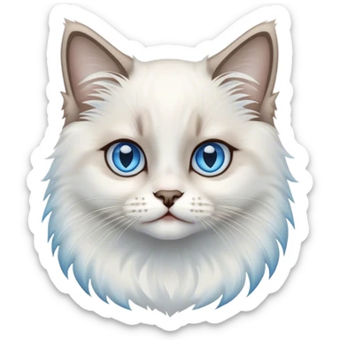ragdoll kitten, white face sticker