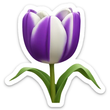 Tulipán morado  sticker