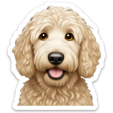 Golden doodle  sticker