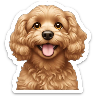 Smiling cavapoo sticker