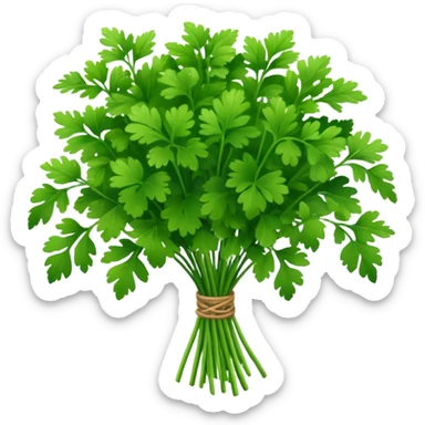 cilantro herb bouquet sticker