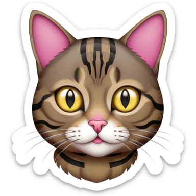 Dark brown tabby with gold eyes and black stripes with some dark pink on the nose sticker