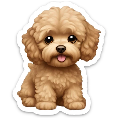 brown maltipoo sticker