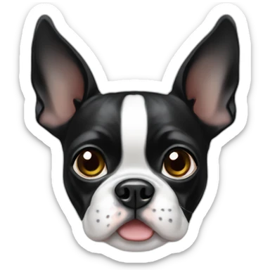 Cute Boston terrier sticker
