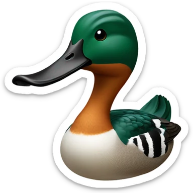 Northern shoveler duck sticker