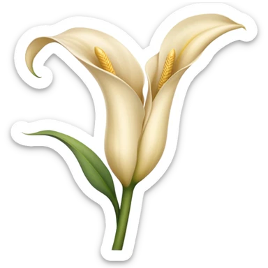 Beige satin Calla sticker