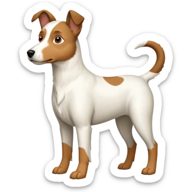a full body large white floppy eared parson russell looking dog the size of a kelpie with light brown ears and a light brown patch on one eye and a large snout sticker