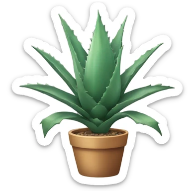 Agave plant sticker