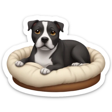 Staffie dog in small bed sticker