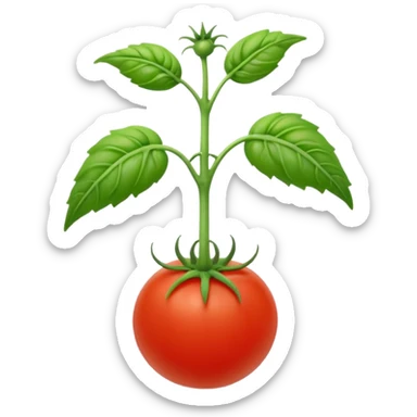 tomato seedling sticker