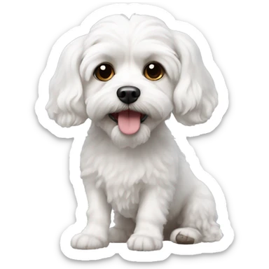 White cavachon dog sticker