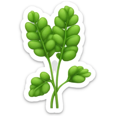 lentil plant sticker