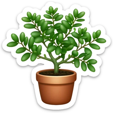 Cinematic Realistic Jade Plant Emoji, Thick and glossy, with dark green, round leaves that shine under the light. The sturdy stems and vibrant foliage give a sense of prosperity and tranquility. Soft glowing outline, capturing the essence of good luck, growth, and natural elegance in a flourishing jade plant! sticker