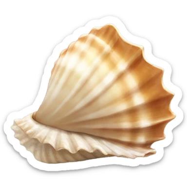 Seashell sticker