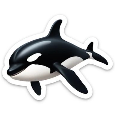Killer whale sticker