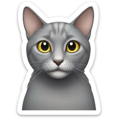Older grey cat sticker