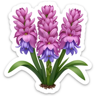 a light margenta  Hyacinth sticker