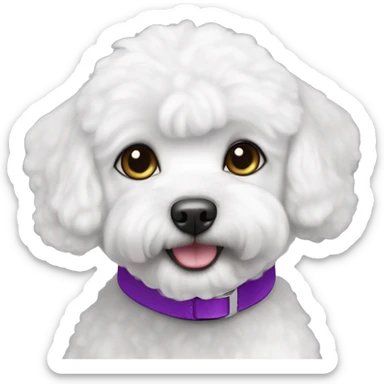 White bichon maltais with purple collar and grey eyes sticker