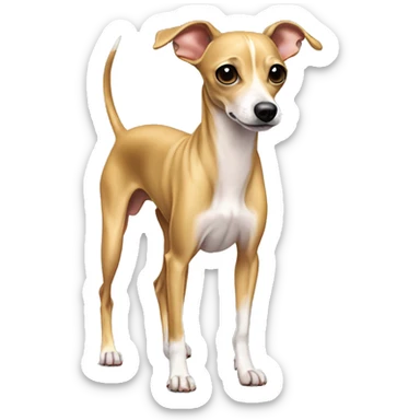 standing full body golden italian greyhound chihuahua sticker