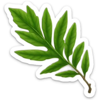 Une feuille d’érable japonais verte sticker