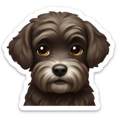 Dark brown curvy maltipu  sticker