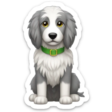 primarily grey and sometimes white, flully, skinny sheepdog with black eyes that are partially covered by fur, and a green collar sticker