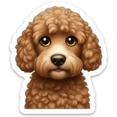 Mini pudel brown sticker