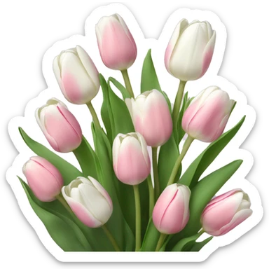 Bouquet of light pink and white tulips  sticker