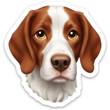 French Brittany spaniel sticker
