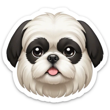 White Shih Tzu with black ears sticker