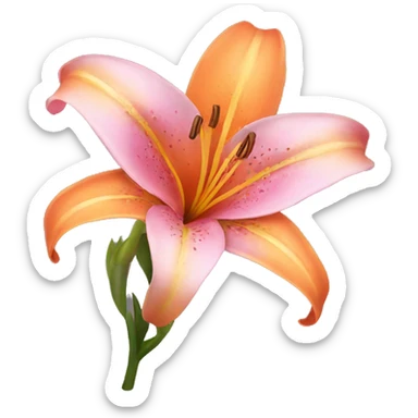 pink and orange lilies  sticker