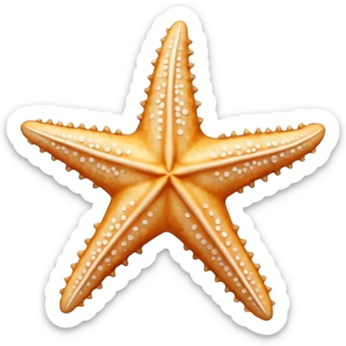 all white dried star fish sticker