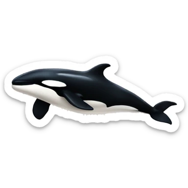 killer whale sticker