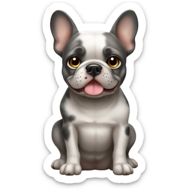 Merle french bulldog sticker