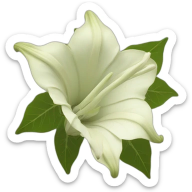 Datura flower sticker