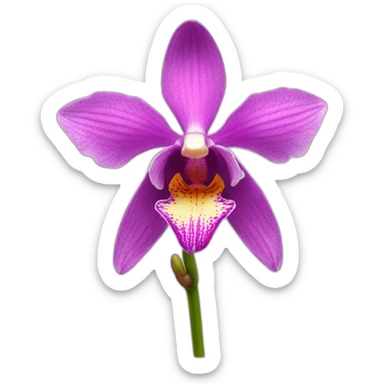 european orchid flower sticker