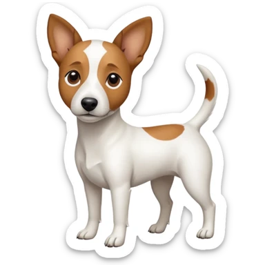 a full body white jack russel looking dog the size of a kelpie with light brown ears and a light brown patch on one eye, flopped down ears and a large snout sticker