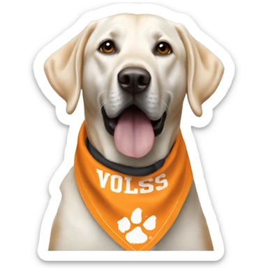 Black lab dog wearing university of Tennessee, Vols bandana sticker