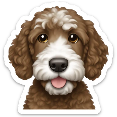 dark brown goldendoodle puppy whit nose and top of head sticker