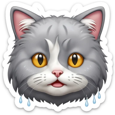 Ağlayan kedi sticker