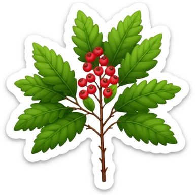 A tall shrub with layered leaves and a few small berries. sticker