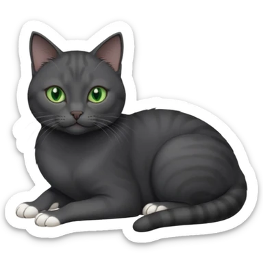 beautiful female solid dark grey cat with green eyes, white toes/paws and white patch on her chest rolling over sticker