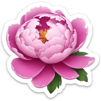 Peony flower sticker