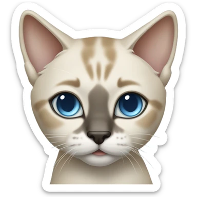 Thai breed cat with a light cream-brown body, dark gray nose and face, ears, and paws. sharp ears, and striking light blue eyes  sticker