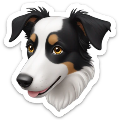 black border collie dog with kind eyes and gentle face sticker